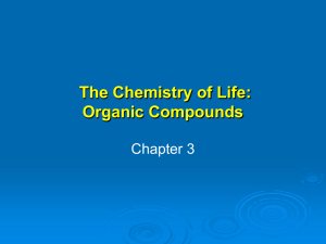 Ch 3 Organic Molecules