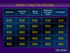 Cells Tissues Jeopardy