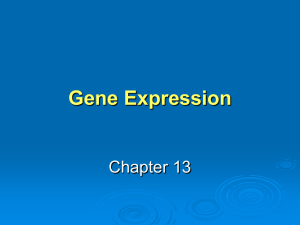Gene Expression Chapter 13