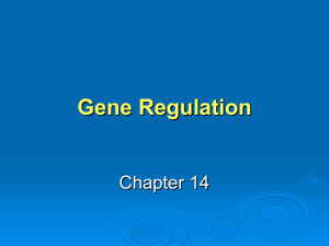Gene Regulation Chapter 14