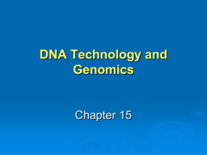 DNA Technology and Genomics Chapter 15