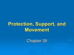 Protection, Support, and Movement Chapter 39