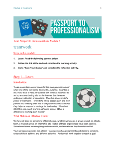 teamwork  Your Passport to Professionalism: Module 6 Steps in this module: