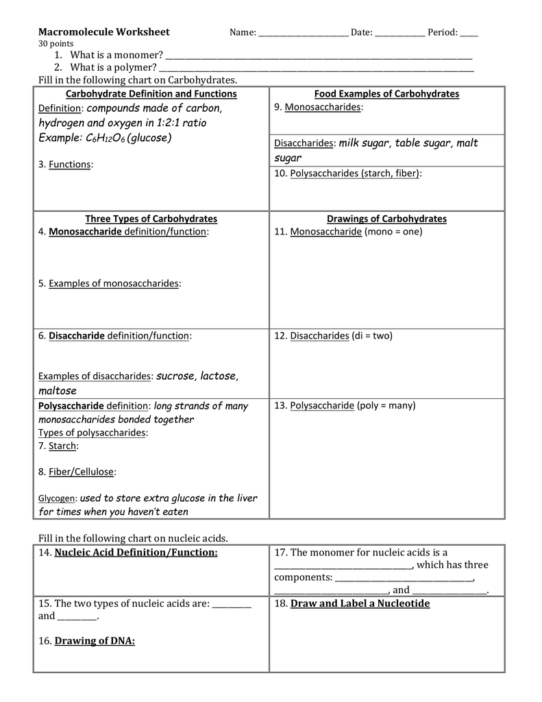 34 Macromolecules Worksheet Answer Key - support worksheet