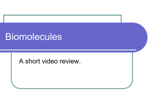 NUCLEIC ACID NOTES 2012 with Video