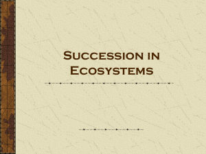 Ecological Succession NOTES