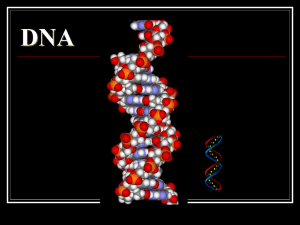 DNA History