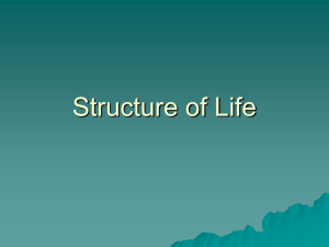 Structure of Life
