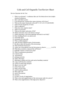 Review Test Questions