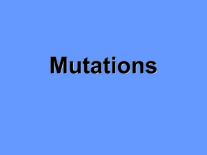 Topic 1 Mutations