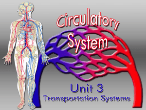 The CIRCULATORY System Unit 3 Transportation Systems