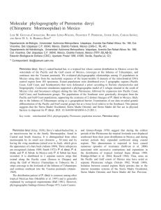 2010 pteronotus davyi phylogeography j mamm.doc