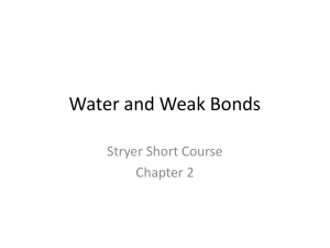 Water and Weak Bonds Stryer Short Course Chapter 2