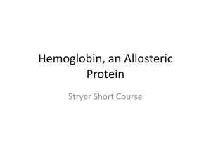 Hemoglobin, an Allosteric Protein Stryer Short Course