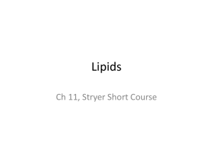 Lipids Ch 11, Stryer Short Course
