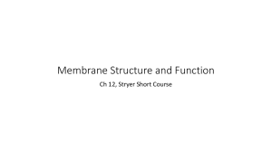 Membrane Structure and Function Ch 12, Stryer Short Course