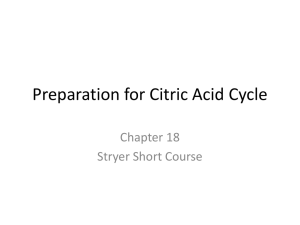 Preparation for Citric Acid Cycle Chapter 18 Stryer Short Course