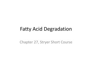 Fatty Acid Degradation Chapter 27, Stryer Short Course
