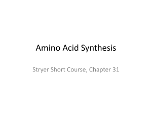 Amino Acid Synthesis Stryer Short Course, Chapter 31