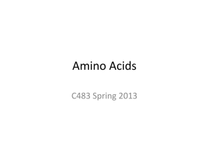 Amino Acids C483 Spring 2013