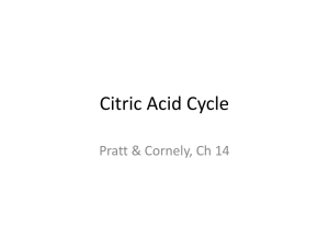 Citric Acid Cycle Pratt &amp; Cornely, Ch 14