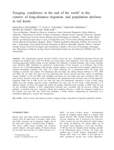 escudero et al. 2011 foraging ecology knots rio grande austral ecology.doc