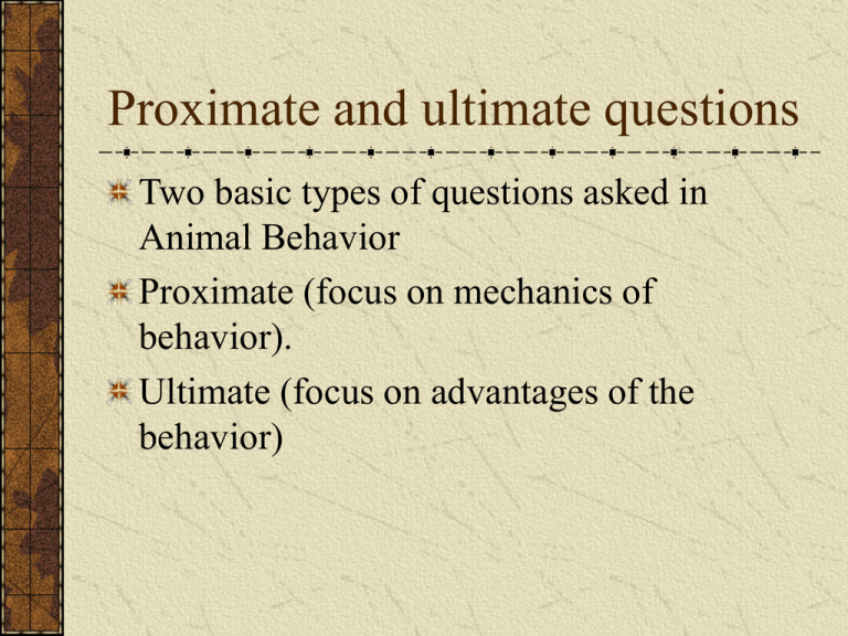 Proximate and ultimate questions