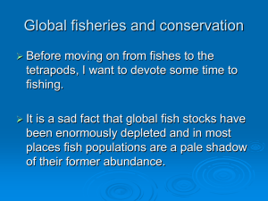 Topic 9 Global fisheries and conservation