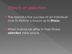 Hardy-Weinberg Selection Powerpoint