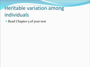 Chapter 5 DNA and heritable variation (in class version)