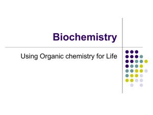 13 - Biochemistry