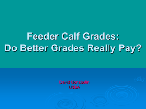 Feeder Calf Grades: Do Better Grades Really Pay? David Gonsoulin USDA