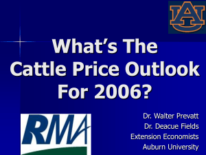 What’s The Cattle Price Outlook For 2006? Dr. Walter Prevatt