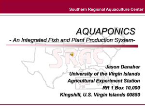 New SRAC Aquaponics Power Point with Voice. Aquaponics- An integrated fish and plant production system