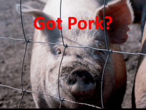 GotPork - Introduction to small scale production