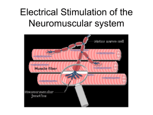 Electrical Stimulation of the Neuromuscular system