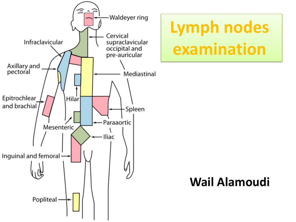 enumeral shotty lymph nodes