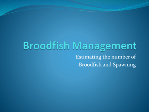 Determining required number of broodfish