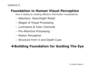 Foundation in Human Visual Perception