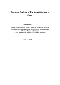 Economic Analysis of The Nurse Shortage in Egypt