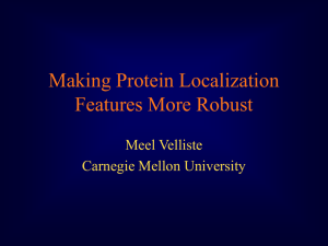 Making protein localization features more portable - Meel Velliste