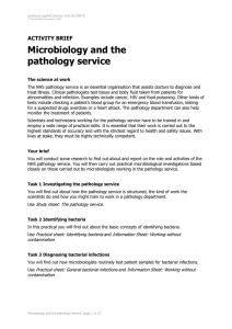 Microbiology and the pathology service ACTIVITY BRIEF