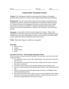 3 Student Guide- Tensegrity Proteins.doc