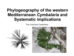 estudis-filogeografics-en-les-cymbalaria-de-la-Mediterrania-occidental-i-noves-implicacions-sistematiques-Presentacio.ppt