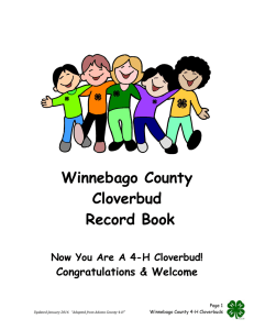 Cloverbud Record Book