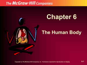 Chapter 6 The Human Body 6-1