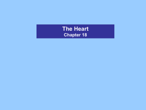 The Heart Chapter 18