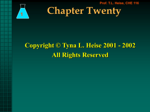 Chapter Twenty Copyright © Tyna L. Heise 2001 - 2002 1