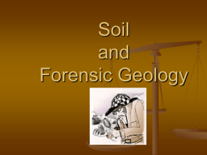 Rizzo's and Rev's Soil PPT