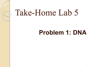 Take-Home Lab 5 Problem 1: DNA 1